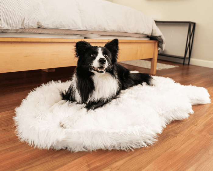 PupRug Curve Faux Fur Orthopedic Dog Bed, Polar White, photo 10