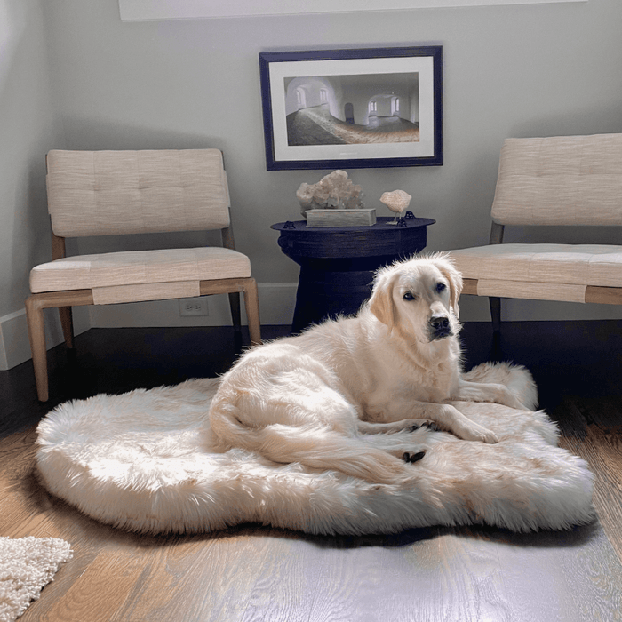 PupRug Curve Faux Fur Orthopedic Dog Bed, White with Brown Accents, photo 2