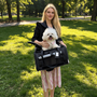 Gold Series Expandable Pet Carrier V3, photo 3