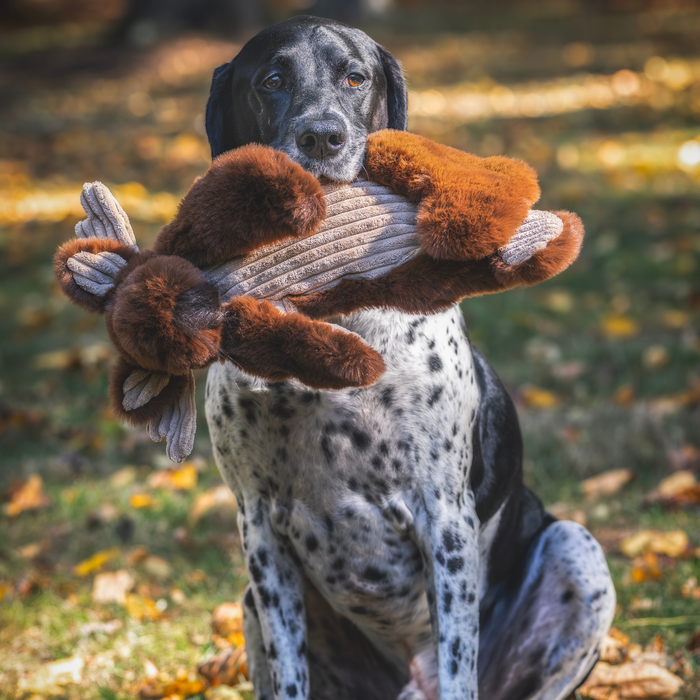 Maple Moose X-Brace, juguete de peluche para perro, foto 8