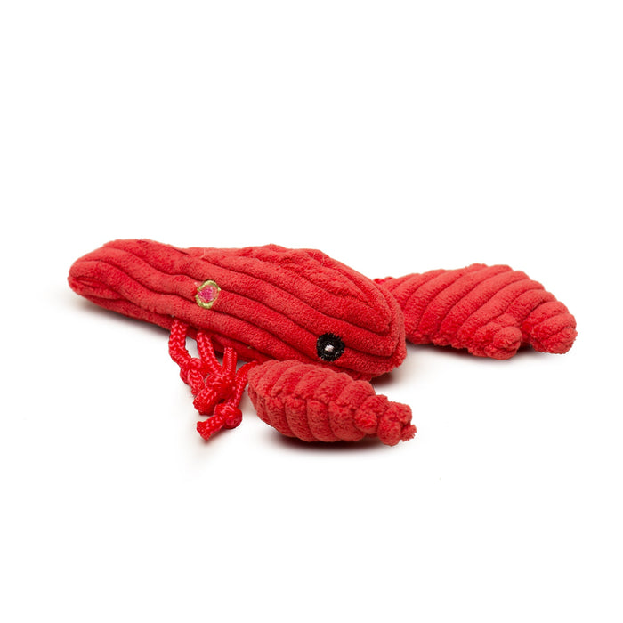 Raw Bar Wee Huggles Plush Dog Toys, 3 Pack, photo 4