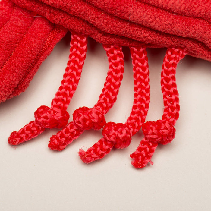 Raw Bar Wee Huggles Plush Dog Toys, 3 Pack, photo 7