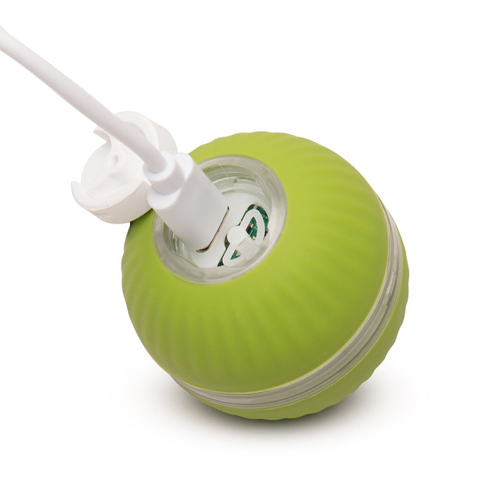 HuggleKats PlayKat Interactive Cat Toy, photo 10
