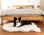 PupRug Curve Faux Fur Orthopedic Dog Bed, Polar White, photo 7