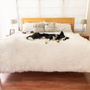 PupProtector Waterproof Throw Blanket, Polar White, photo 8
