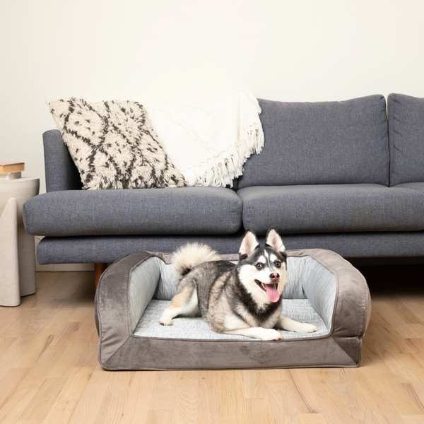 Cama refrescante con bordes PupChill para perro, gris ártico, foto 2