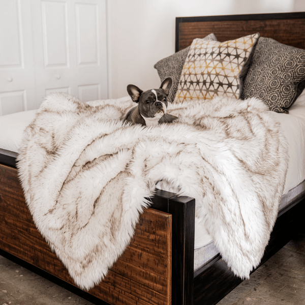 PupProtector Waterproof Throw Blanket, White with Brown Accents, photo 2