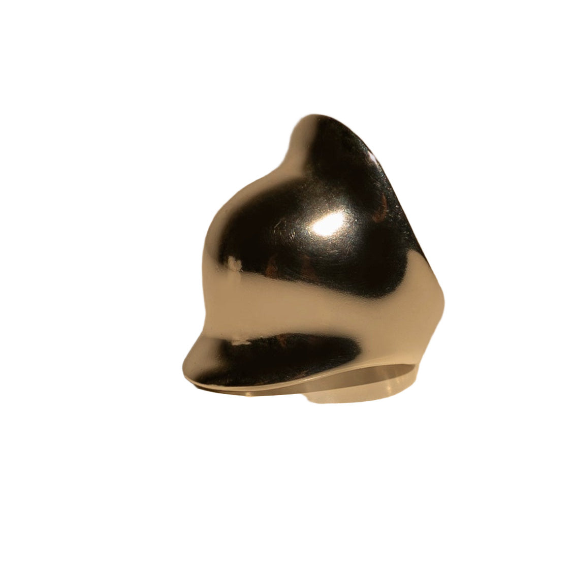 Anillo Carson, foto 1