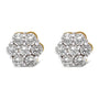 2 Ct. T.W. Diamond Floral Cluster Stud Earrings with Screw Back in 14K Yellow Gold, photo 1