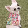 Watercolor Harness, photo 2