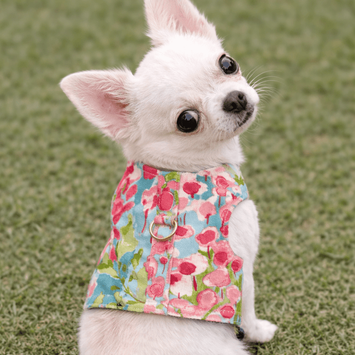 Watercolor Harness, photo 2
