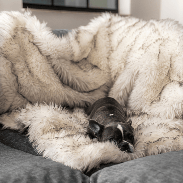 Manta impermeable PupProtector, blanco con detalles marrones, foto 9