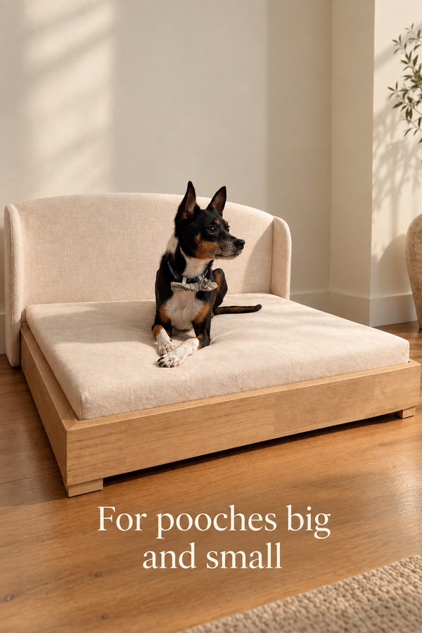 Small black and tan dog sitting on the Haven dog bed in cream