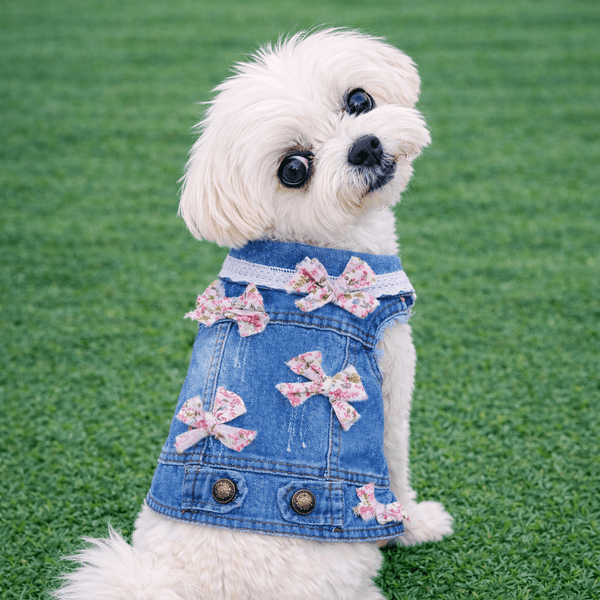 Blue Vest with Pink or Blue Mini Bows, photo 2