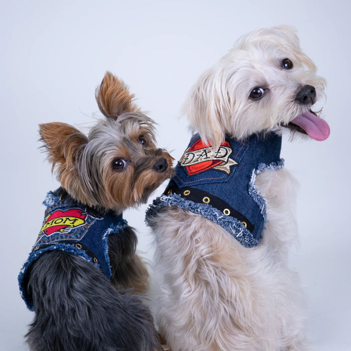 LOVE DAD Harness, photo 8