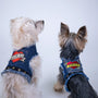 LOVE DAD Harness, photo 10