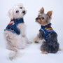 LOVE DAD Harness, photo 12