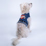 LOVE DAD Harness, photo 14