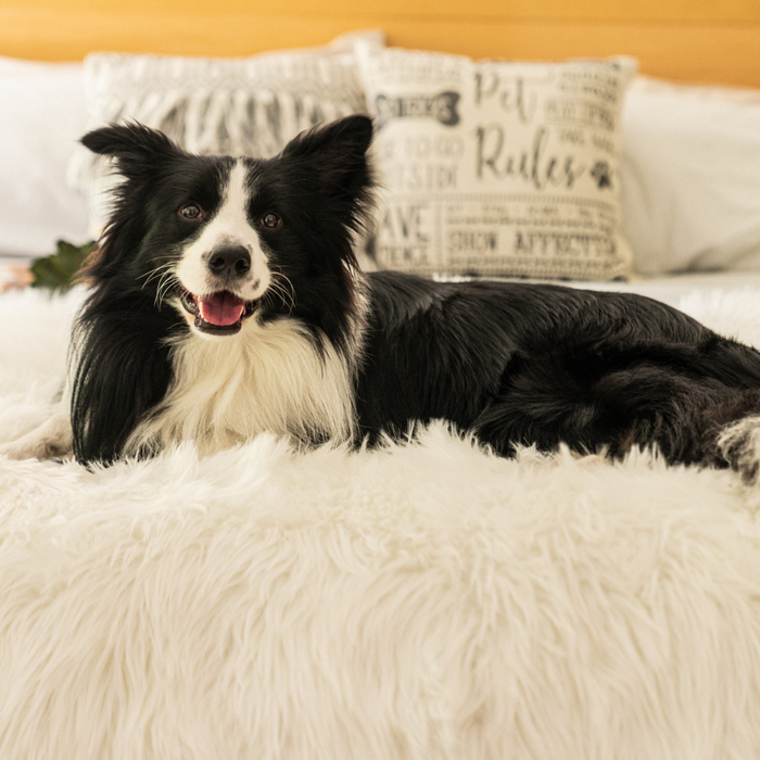 PupProtector Waterproof Throw Blanket, Polar White, photo 9