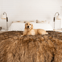 PupProtector Waterproof Throw Blanket, Sable Tan, photo 9