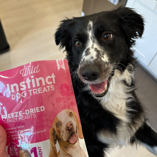 Freeze-Dried Turkey Heart Dog Treats, photo 2