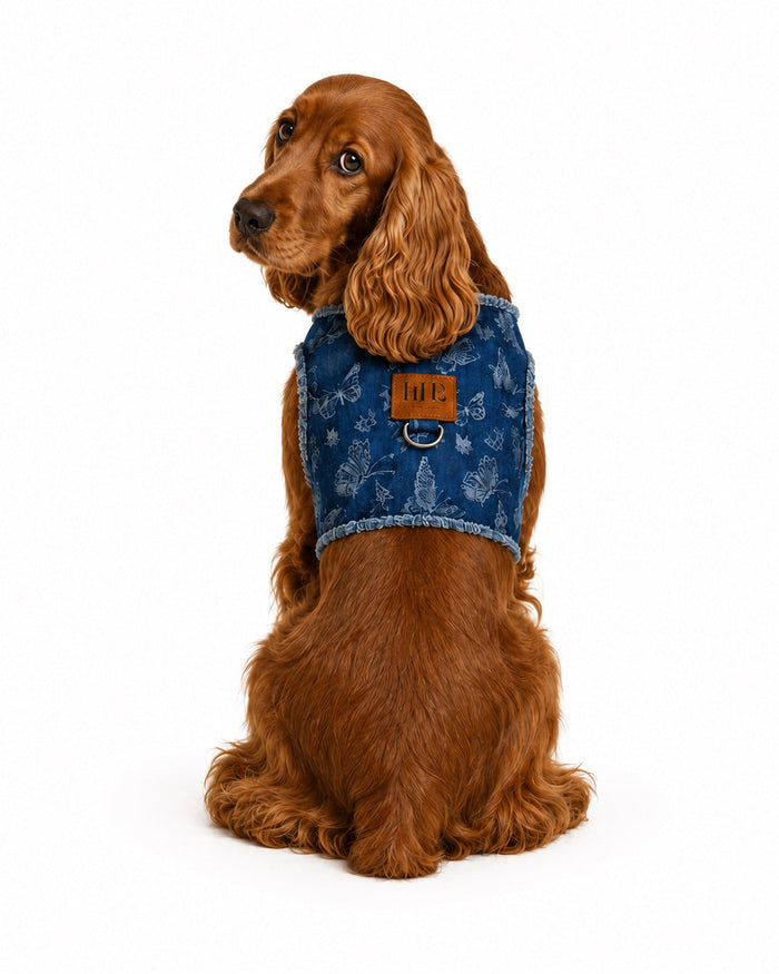 Printed Butterfly Denim Harness, photo 2