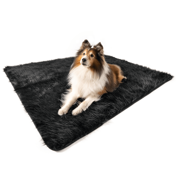 PupProtector Waterproof Throw Blanket, Midnight Black
