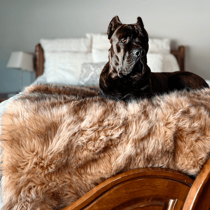 PupProtector Waterproof Throw Blanket, Sable Tan, photo 8