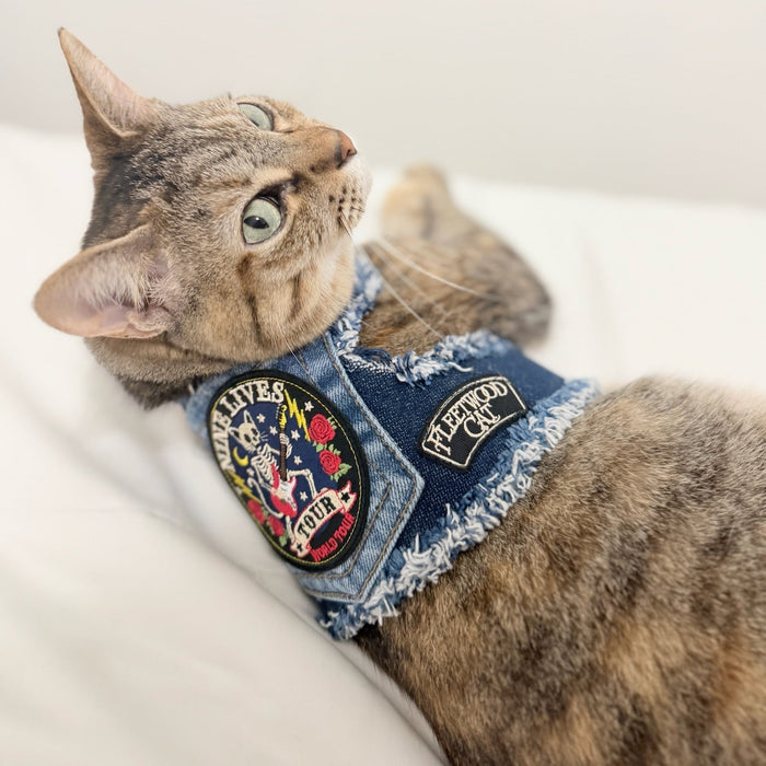 9 Lives Harness, photo 3
