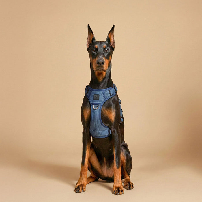 Denim NoMad Adjustable Dog Harness, photo 4
