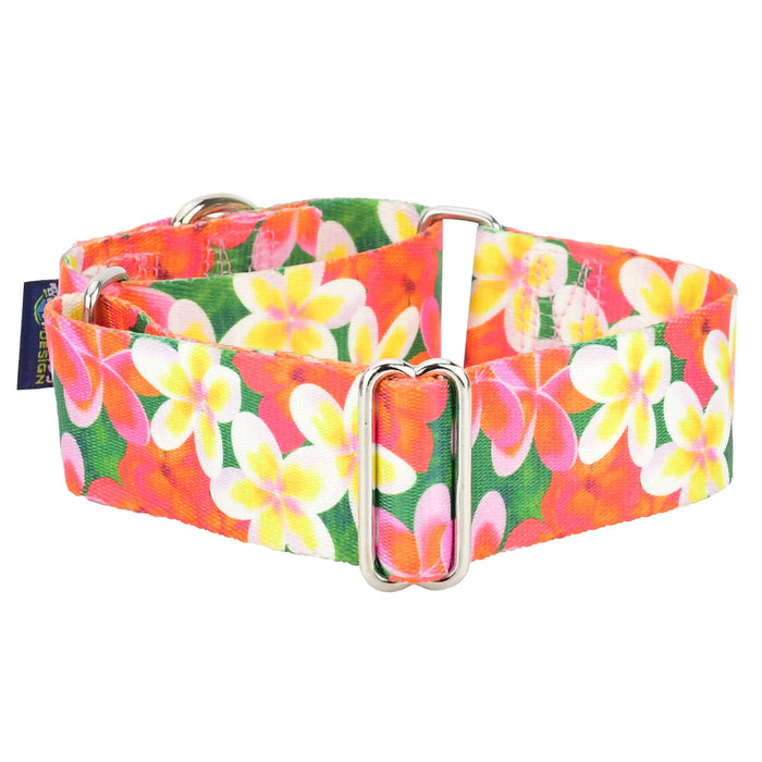 Collar martingala para perro Aloha EarthStyle, foto 2