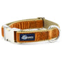 Antique Gold Velvet Essential Dog Collar, photo 2