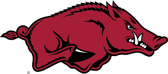 NCAA University of Arkansas, Tusk the Razorback Knottie, juguete de peluche para perro, foto 4