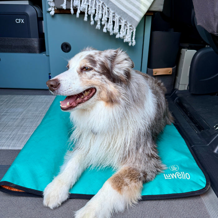Ultralight Portable Dog Settle Mat, photo 11