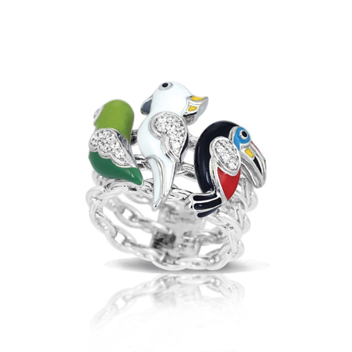 Anillo Aviary, foto 1