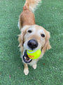 Happy Tennis Ball