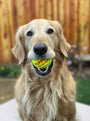 Happy Tennis Ball