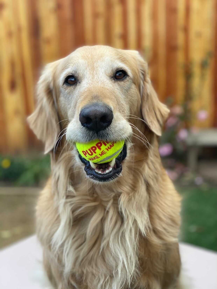 Happy Tennis Ball