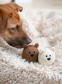 Brown Bear Wool Dog Toy, photo 8