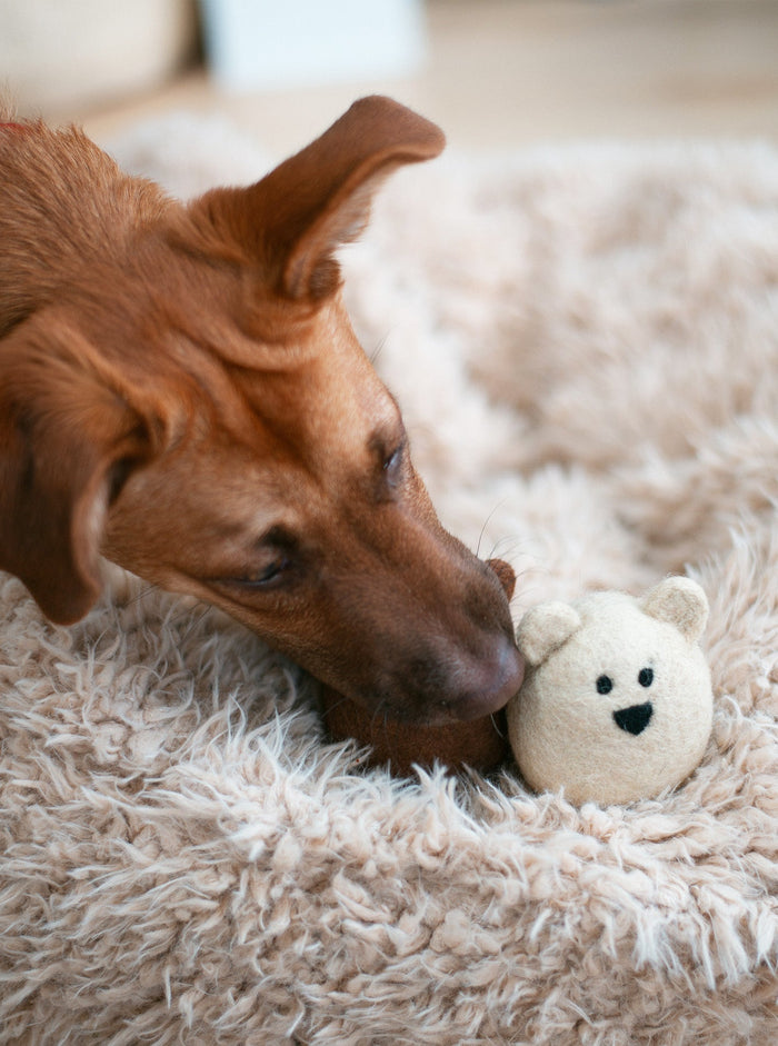 Brown Bear Wool Dog Toy, photo 9