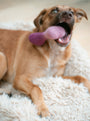 Ombre Woolbone Dog Toy, photo 16