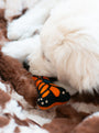 Monarch Butterfly Woolbone Dog Toy, photo 4