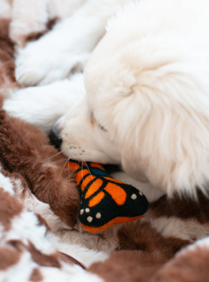 Monarch Butterfly Woolbone Dog Toy, photo 4
