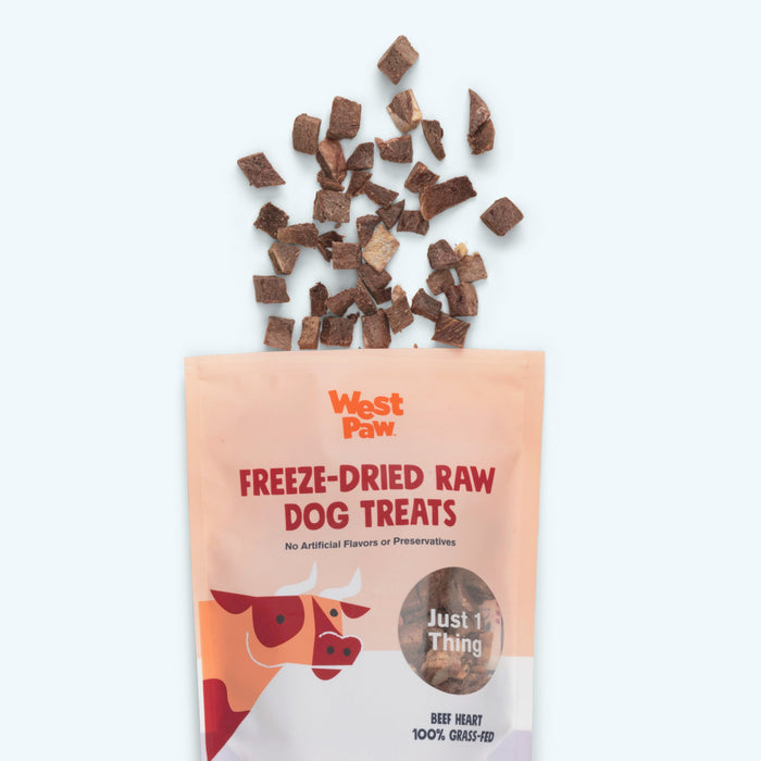 Freeze-Dried Beef Heart Dog Treats, photo 4