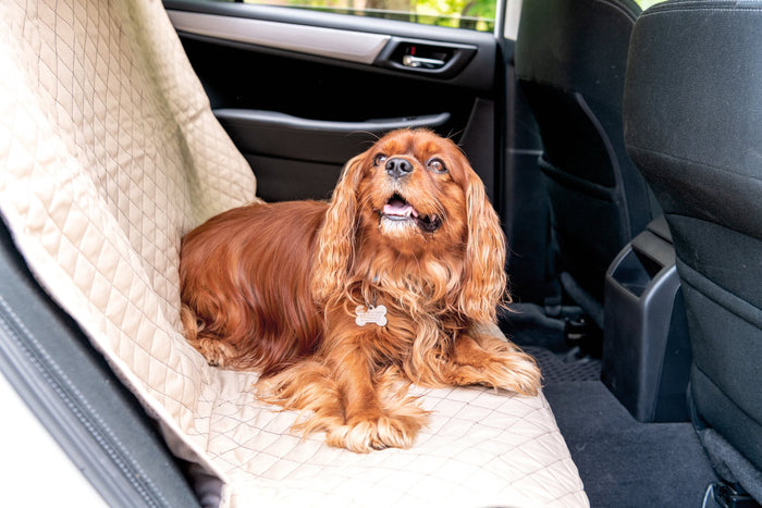 TuffutLuxx, protectores de asiento para el auto, foto 5