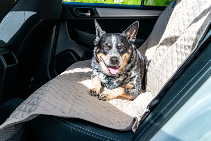 TuffutLuxx, protectores de asiento para el auto, foto 4