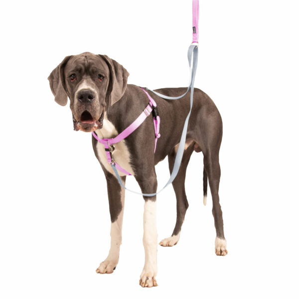 Arnés antitirones para perro Freedom No-Pull rosa, foto 7