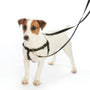 Arnés antitirones para perro Freedom No-Pull Daisy Dot EarthStyle, foto 4