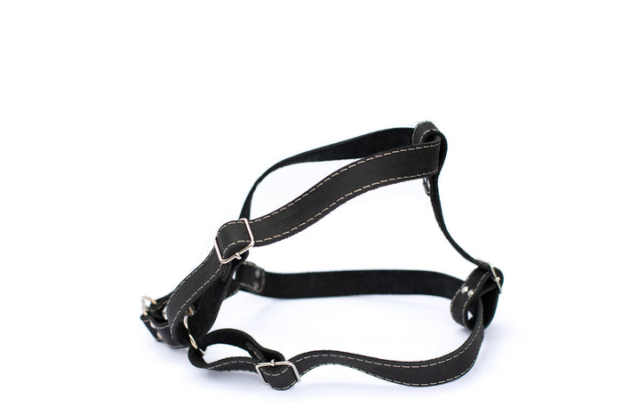 Leather Step-In Dog Harness, photo 5