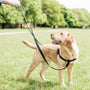 Arnés antitirones para perro Freedom No-Pull verde Kelly, foto 6